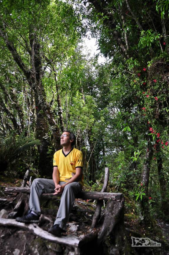 Tempo para descanso em trilha do Parque Nacional Queulat, na Carretera Austral, no sul do Chile